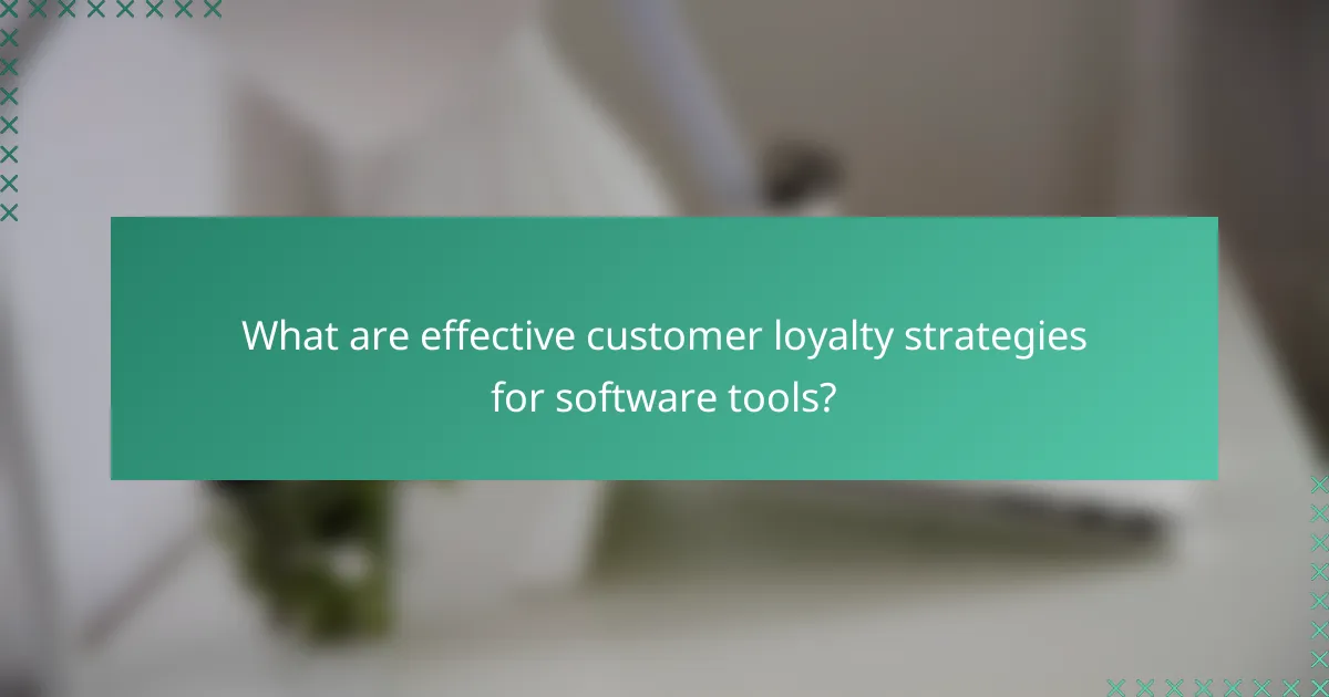 What are effective customer loyalty strategies for software tools?