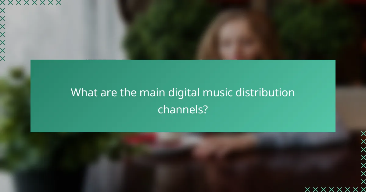 What are the main digital music distribution channels?